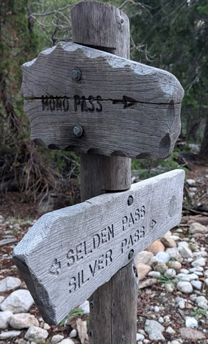 mono pass